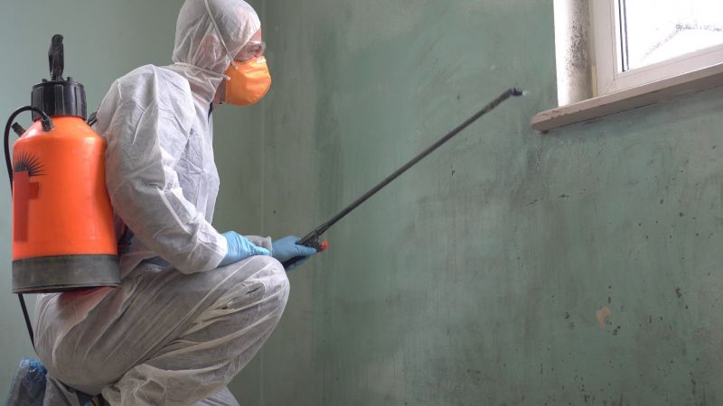 Mold Control in West Palm Beach, FL