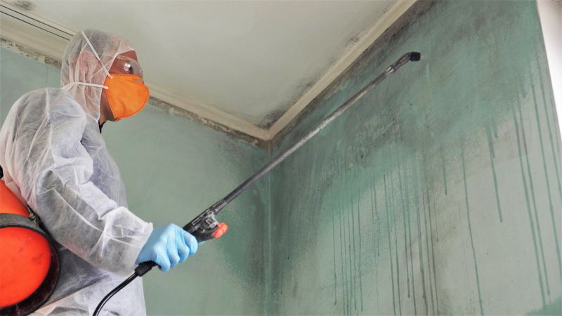 Mold Restoration in Broward County, FL