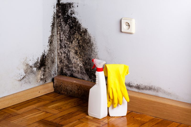 White Mold Mitigation in West Palm Beach, FL