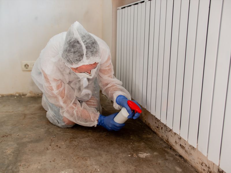 White Mold Mitigation in Broward County, FL