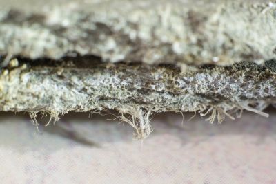 Asbestos Abatement in Morris County, NJ