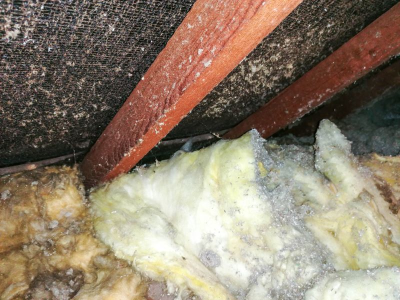 Basement Asbestos Removal in Morris County, NJ