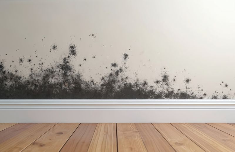 Black Mold Remediation in Dallas, TX