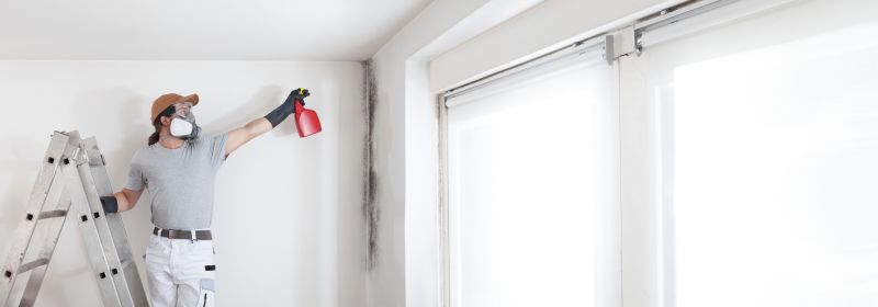 Black Mold Remediation in Fort Lauderdale, FL