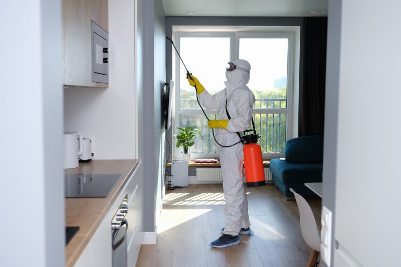 Mold Abatement Service in Boca Raton, FL