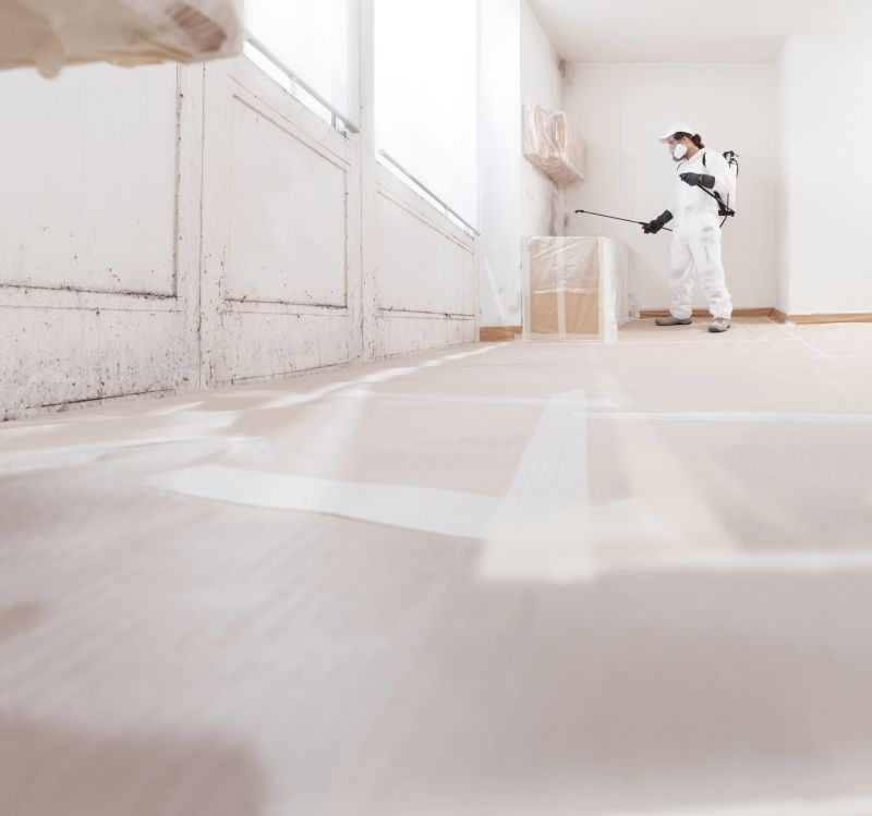 Mold Remediation Service in Fort Worth, TX