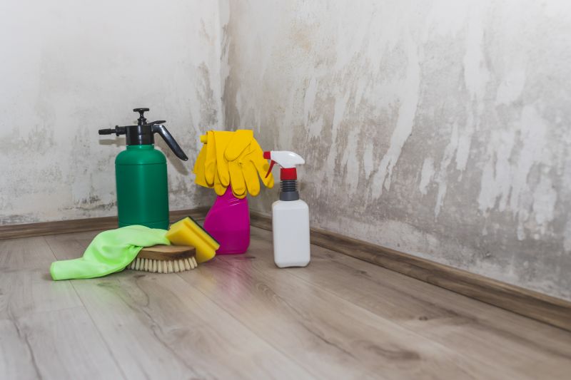 Mold Removal in Bergen County, NJ