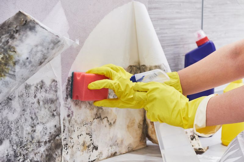 Mold Restoration in Broward County, FL