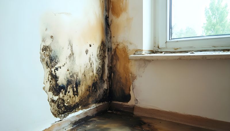 Mold Restoration in Essex County, NJ