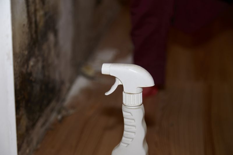 Mold Treatment Service in Fort Worth, TX