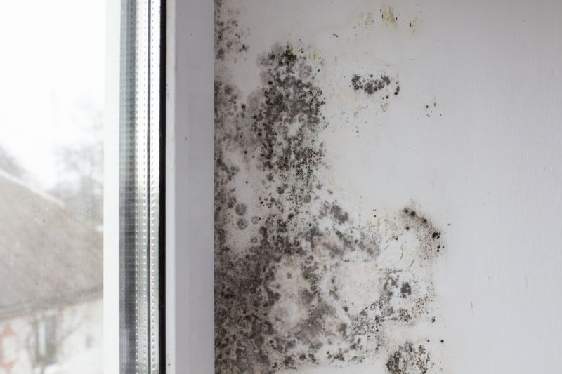 White Mold Mitigation in Broward County, FL